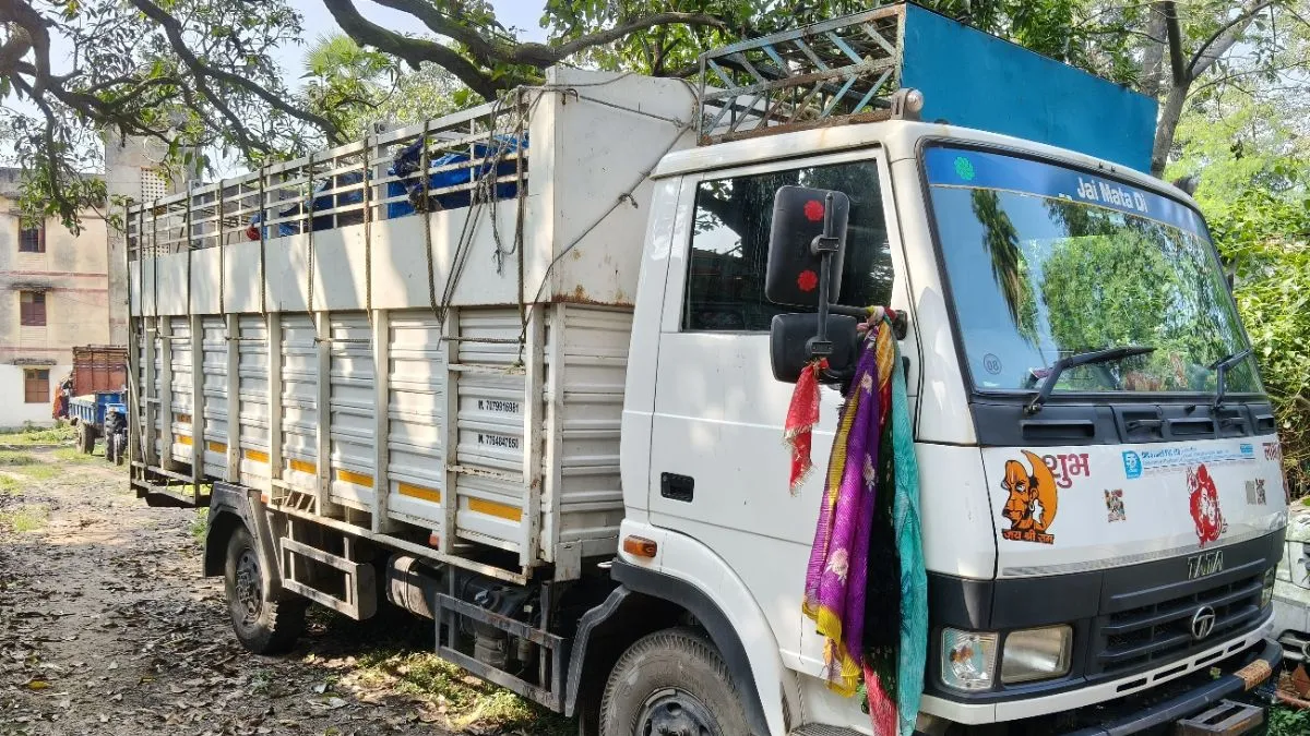 हजारीबाग में पशु तस्करी पर बड़ी कार्यवाही: 14 मवेशी बचाए, ड्राइवर गिरफ्तार